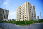Rented Luxury Apartments and Condos Guide: Discover Basics, Facts, and Helpful Resources