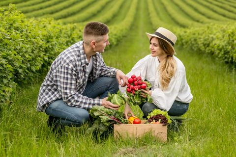 Learn Seasonal Farming for Better Yields: Discover Farming Strategies, Seasonal Crop Insights, Expert Advice, and Agriculture Management Facts